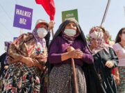 Doğanın Pandemisi: Rant ve talan – Hatice Nur Derya